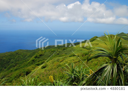 Hahajima Miyako viewing north from mountain peak Hahajima Miyako viewing north from mountain peak 4880181