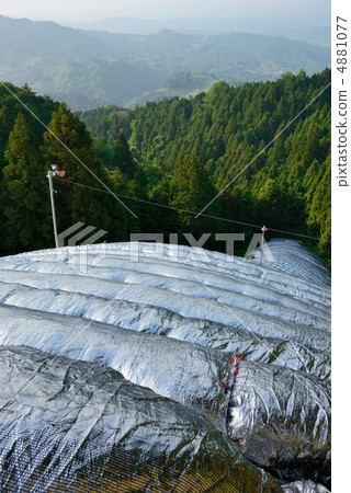 山區的茶園 山區的茶園 4881077