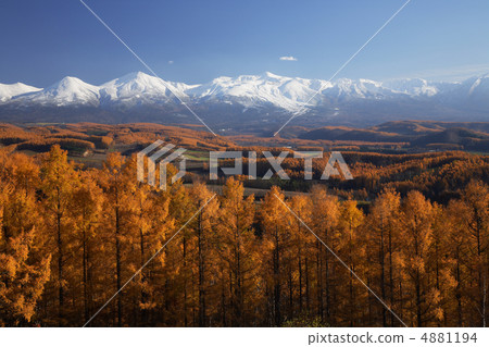 Larch and Tokachidake 4881194