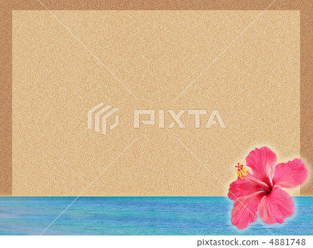 Summer image 4881748