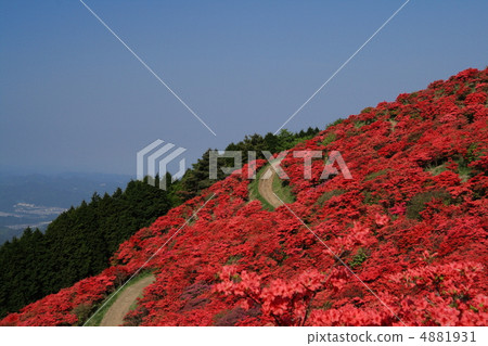 Katsuragiyama in early summer 4881931