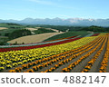 Furano 4882147