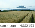 Mount Yotei 4882153