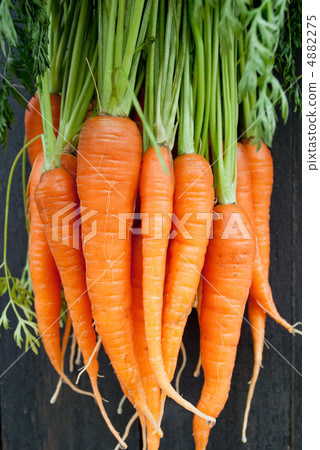 Gotten pickled Gotten pickled 4882275