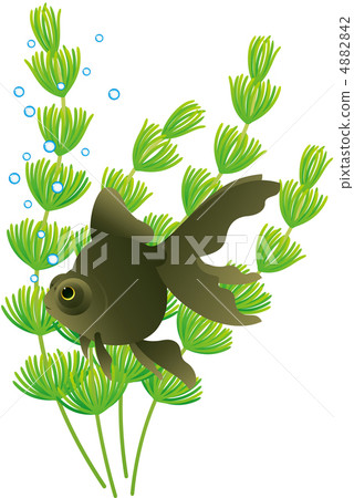 Clodemaker和Matsumo Clodemaker和Matsumo 4882842