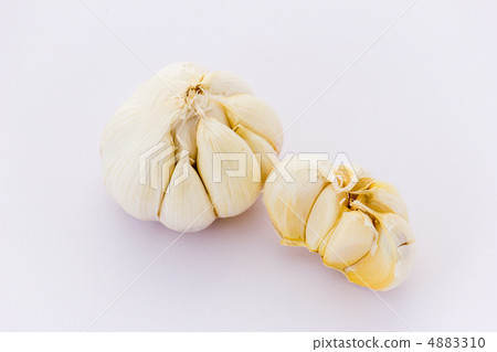 garlic  4883310