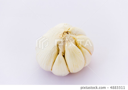 garlic garlic 4883311