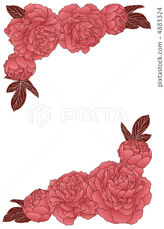 Peony Frame 4883324