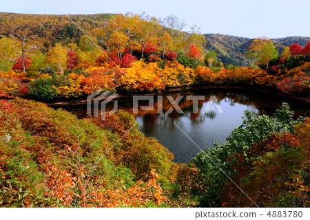Autumn leaves of the Taisetsu Hiroshi Ezo swamp Autumn leaves of the Taisetsu Hiroshi Ezo swamp 4883780