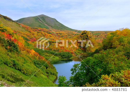 Autumn leaves of the Taisyuhara Tanakogen 4883781