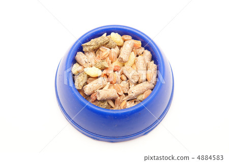 blue bowl of food on white background blue bowl of food on white background 4884583