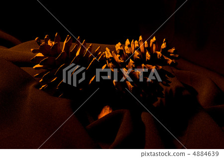 pine cone on the black background pine cone on the black background 4884639