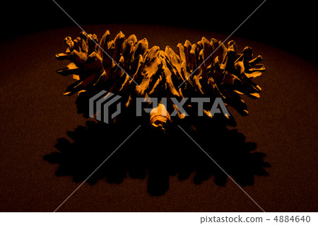 pine cone on the black background 4884640