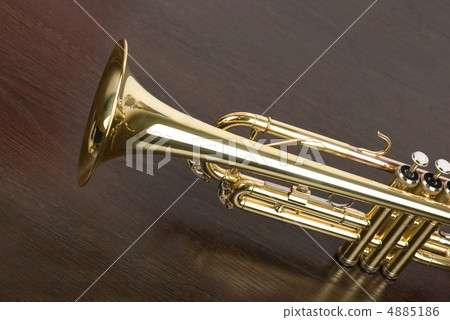 trumpet 4885186