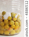 Salted plum 4886512