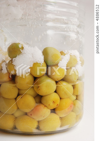Salted plum 4886512