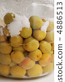 Salted plum 4886513