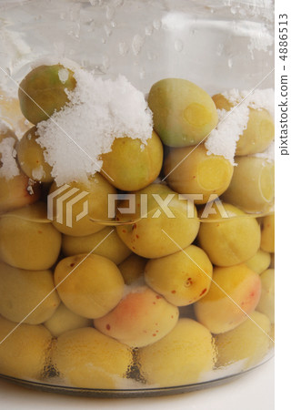 Salted plum Salted plum 4886513