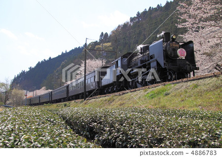 Spring steam locomotive Spring steam locomotive 4886783