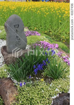 Shizuoka Shizuoka 4887496