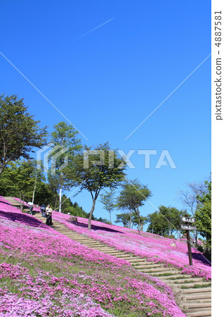 Takigami Park 4887581