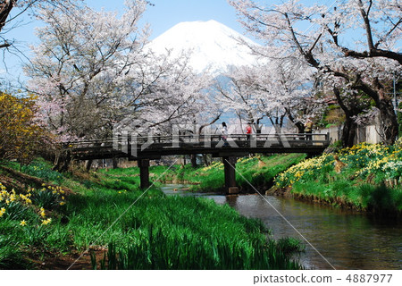 富士山 富士山 4887977