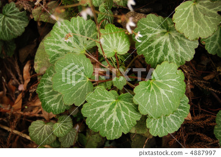 Yukinoshita離開 4887997