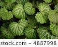 Yukinoshita leaves 4887998