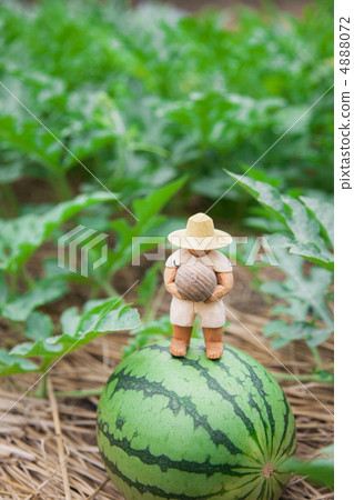 Boy in watermelon field (vertical position) 4888072