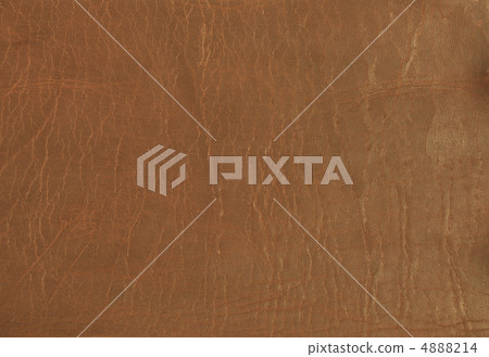 Background leather 4888214
