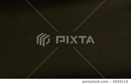 Background leather 4888219