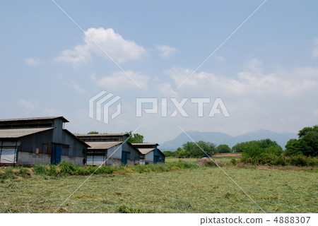 赤城高原群馬縣的春天 4888307