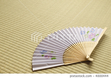 Fan tatami morning glory Fan tatami morning glory 4888444