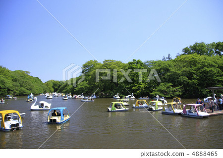 Boat at Inokashira Park 4888465