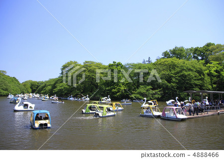 Inokashira Park Inokashira Park 4888466