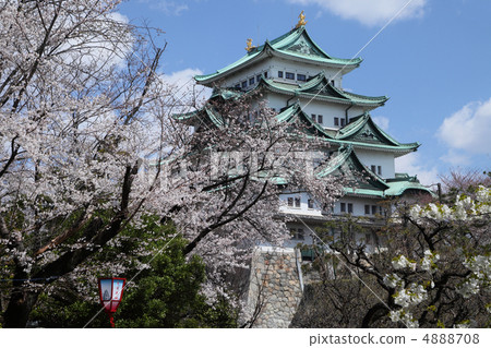 图库照片 樱花盛开的名古屋城堡