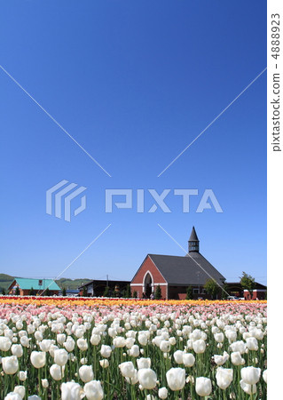 Kamiyuunetsu Tulip Park 4888923
