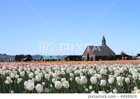 Kamiyuunetsu Tulip Park Kamiyuunetsu Tulip Park 4888924