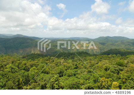 Distant view of tropical rainforest Distant view of tropical rainforest 4889196
