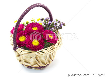 花籃 4889248