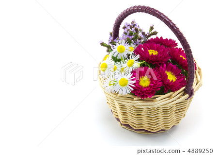 Flower basket 4889250