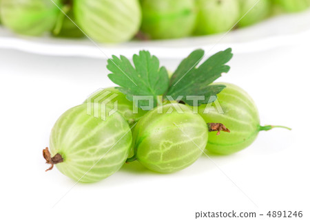 gooseberries 4891246