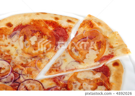 the pizza the pizza 4892026