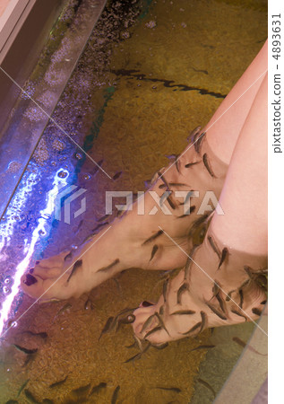 Fish spa pedicure Fish spa pedicure 4893631