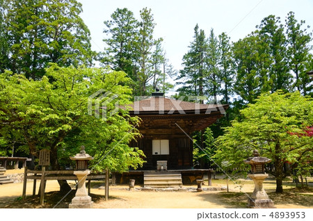 Sannomiyado and Nishi Ryouzakura of Gallery Koyasan Alder 4893953