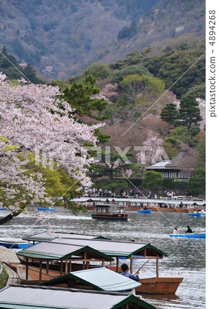 Arashiyama的春天在京都 4894268