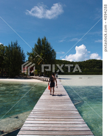 Pier of Palau Carp Island Pier of Palau Carp Island 4894288