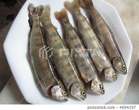 新鮮的豆醬 新鮮的豆醬 4894297