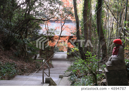 Shikoku Shrine Plant No. 71 Buddhist "Yaidanji" Niimon and autumn leaves 4894787