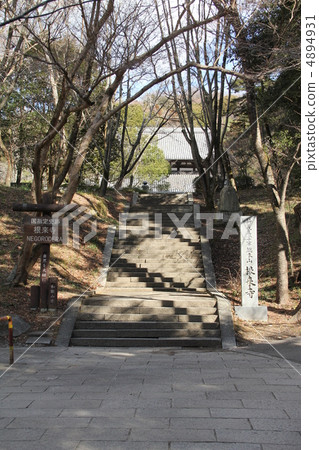 Negoriji 4894931